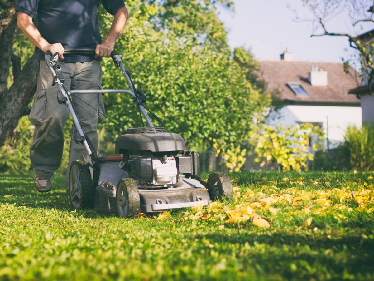 Lawn Care Tips For Late Summer And Early Fall | Gardening Know How