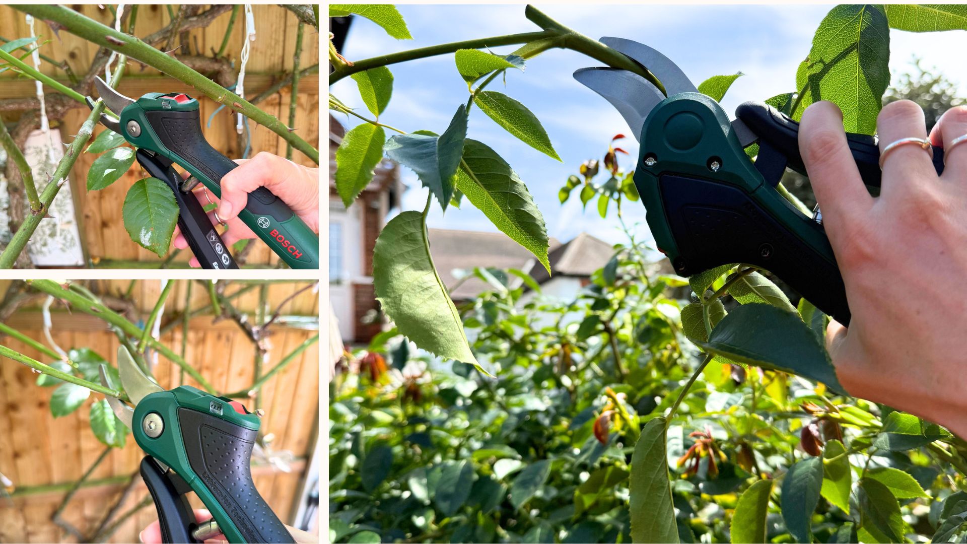Bosch EasyPrune cordless garden secateurs