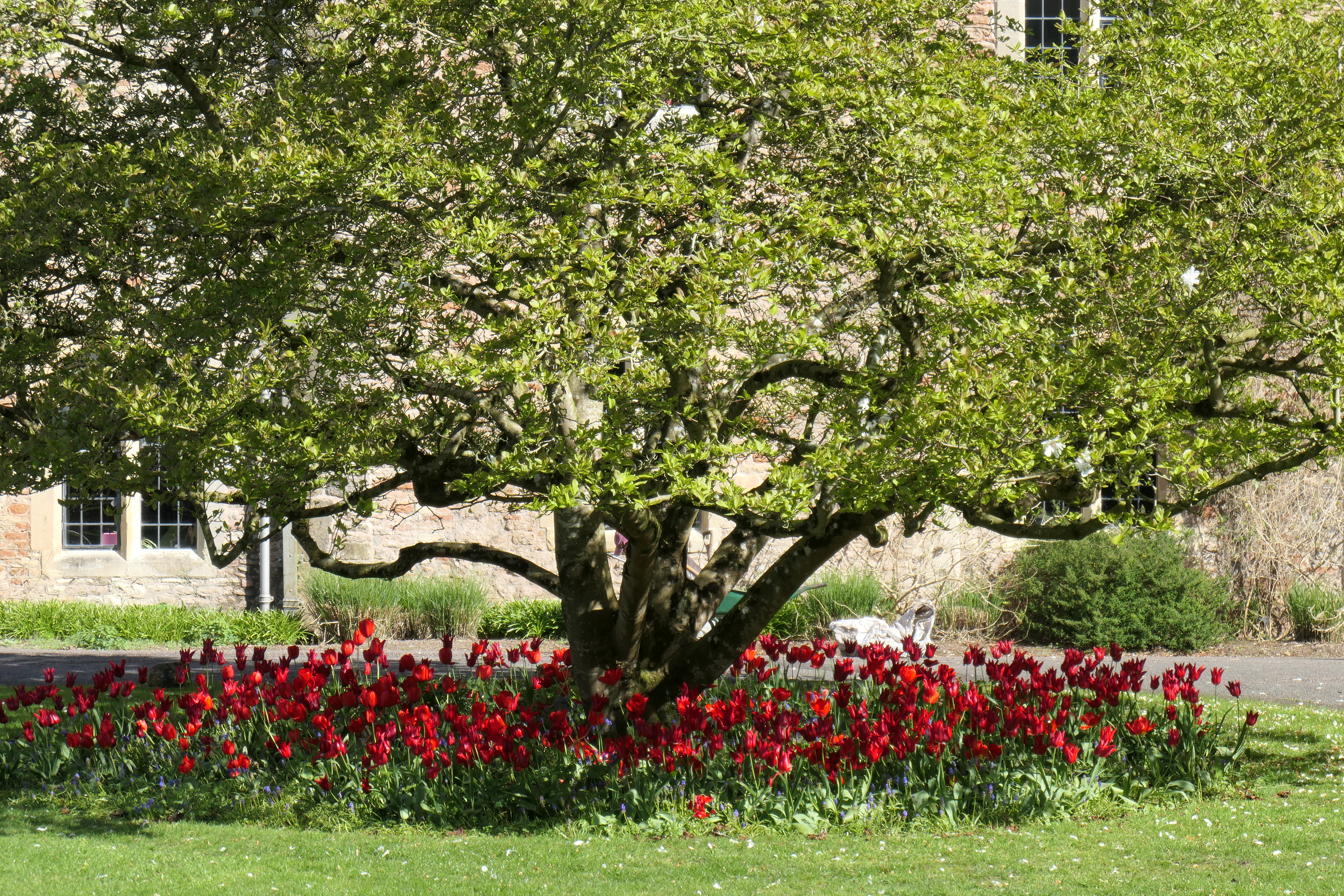 Panasonic Lumix ZS300 / TZ300 sample image