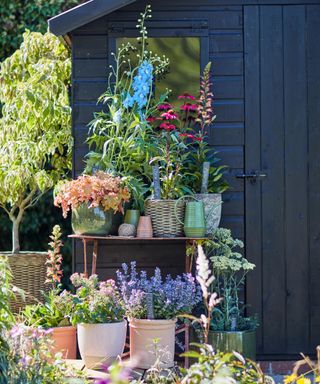 A country-style garden with many pots