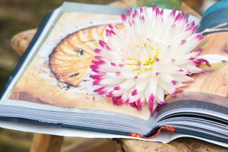 edible flower on an open recipe book
