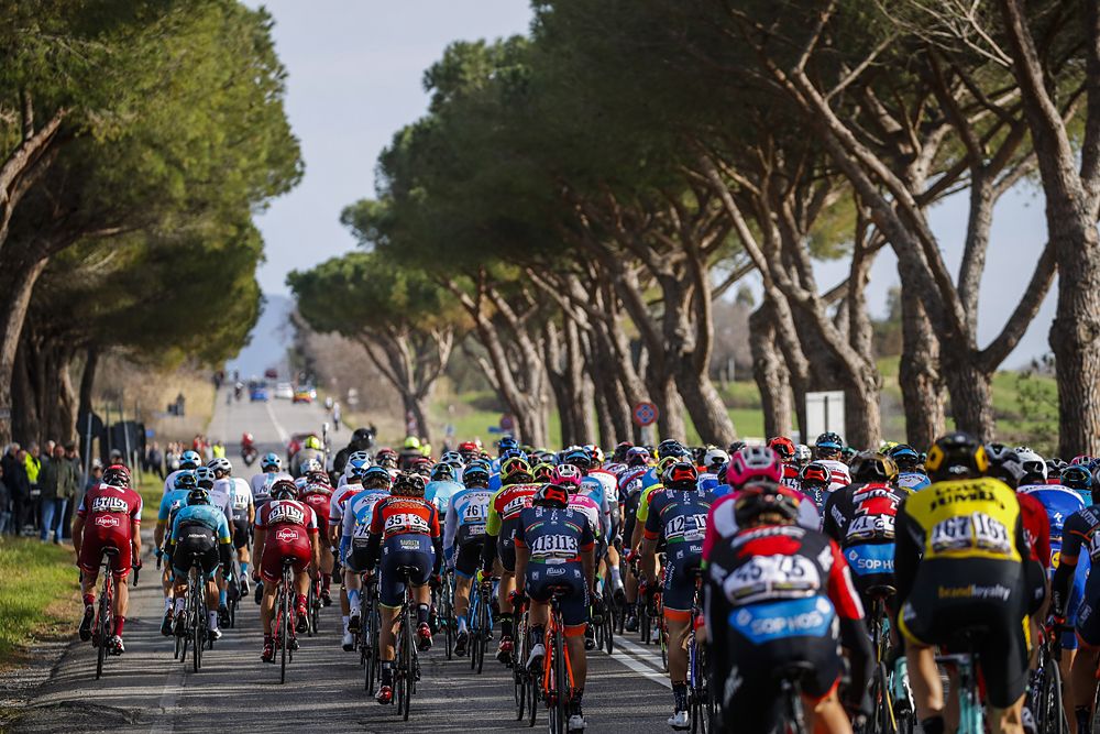 The peloton at Tirreno-Adriatico