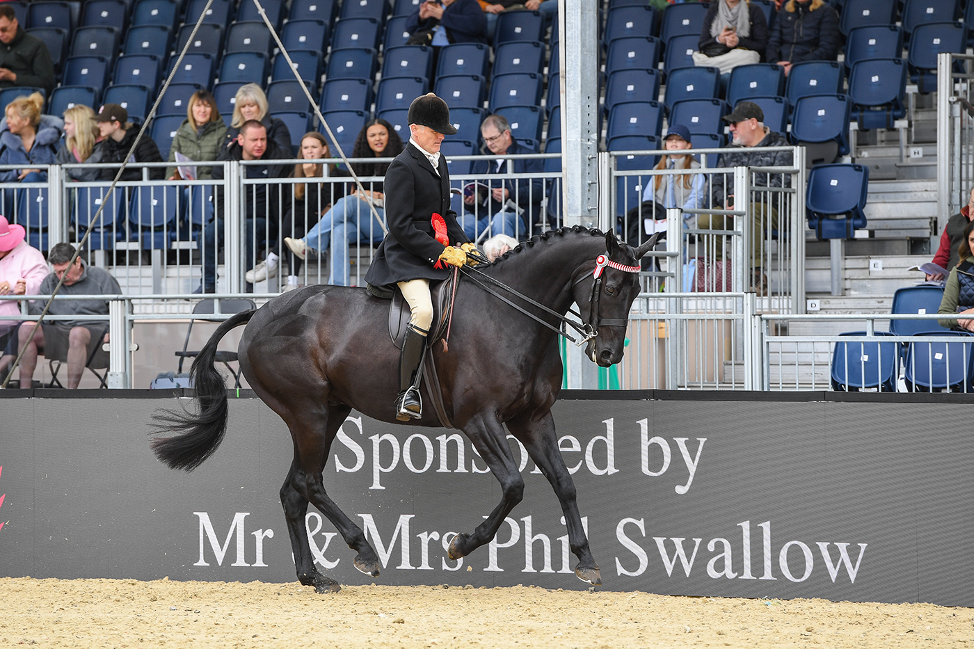Royal Windsor Horse Show