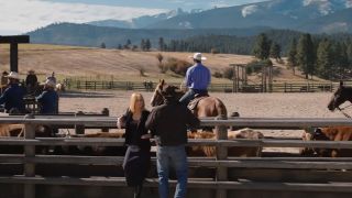 Horse at a ranch in Yellowstone