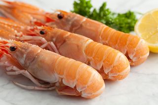 langoustines