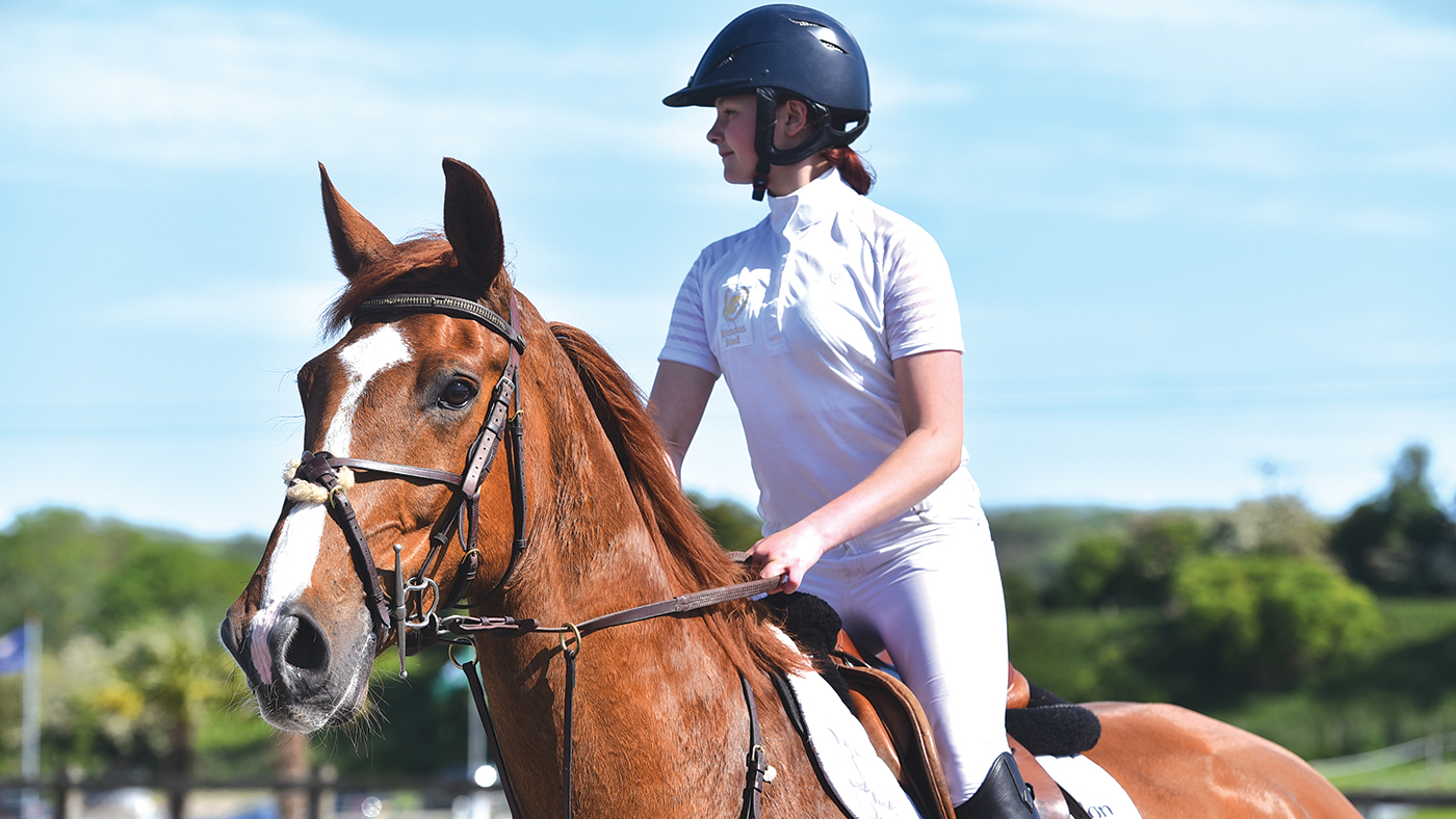 Ruby Light and Sussex Caretino