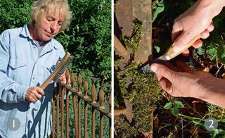 Scrub railings with a metal brush to remove flaky paintwork and rust, then clear moss and weeds
