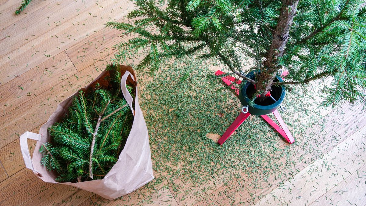 Real Christmas tree versus fake — which is better? Tom's Guide