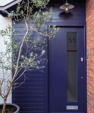 front door and wall painted in dark blue exterior eggshell paint