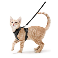 Cat Harness and Leash