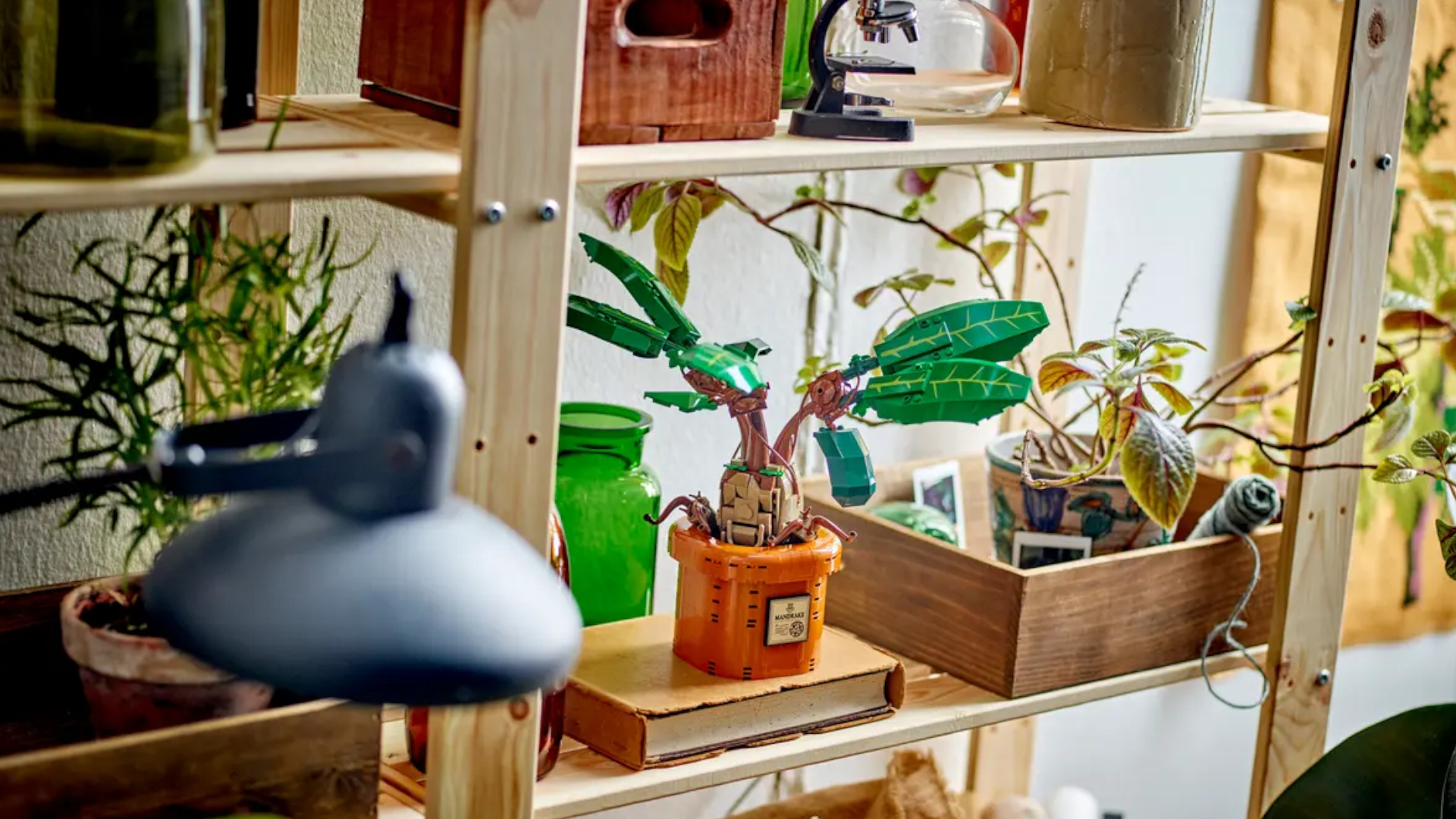 Lego Mandrake on a shelf amongst real plants