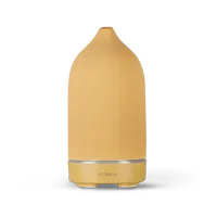 Vitruvi Stone Diffuser | $119