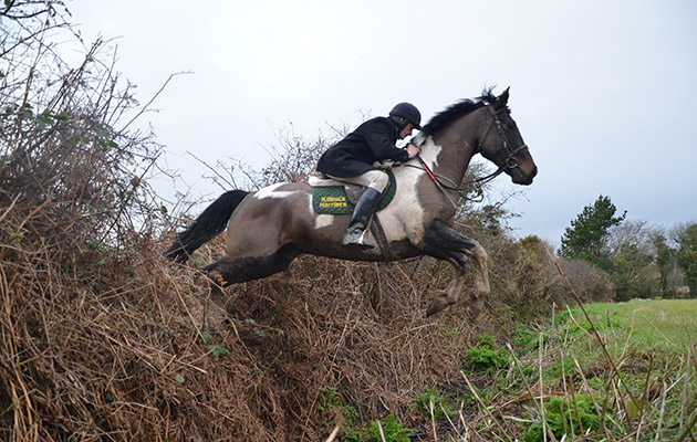 James Rath pops over a bank in Ireland during a day with the Killinick Harriers