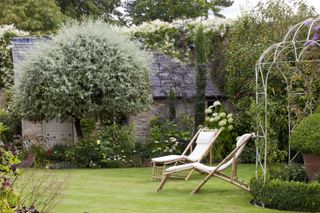 how much does a cottage garden cost? what to budget for: deckchairs on lawn