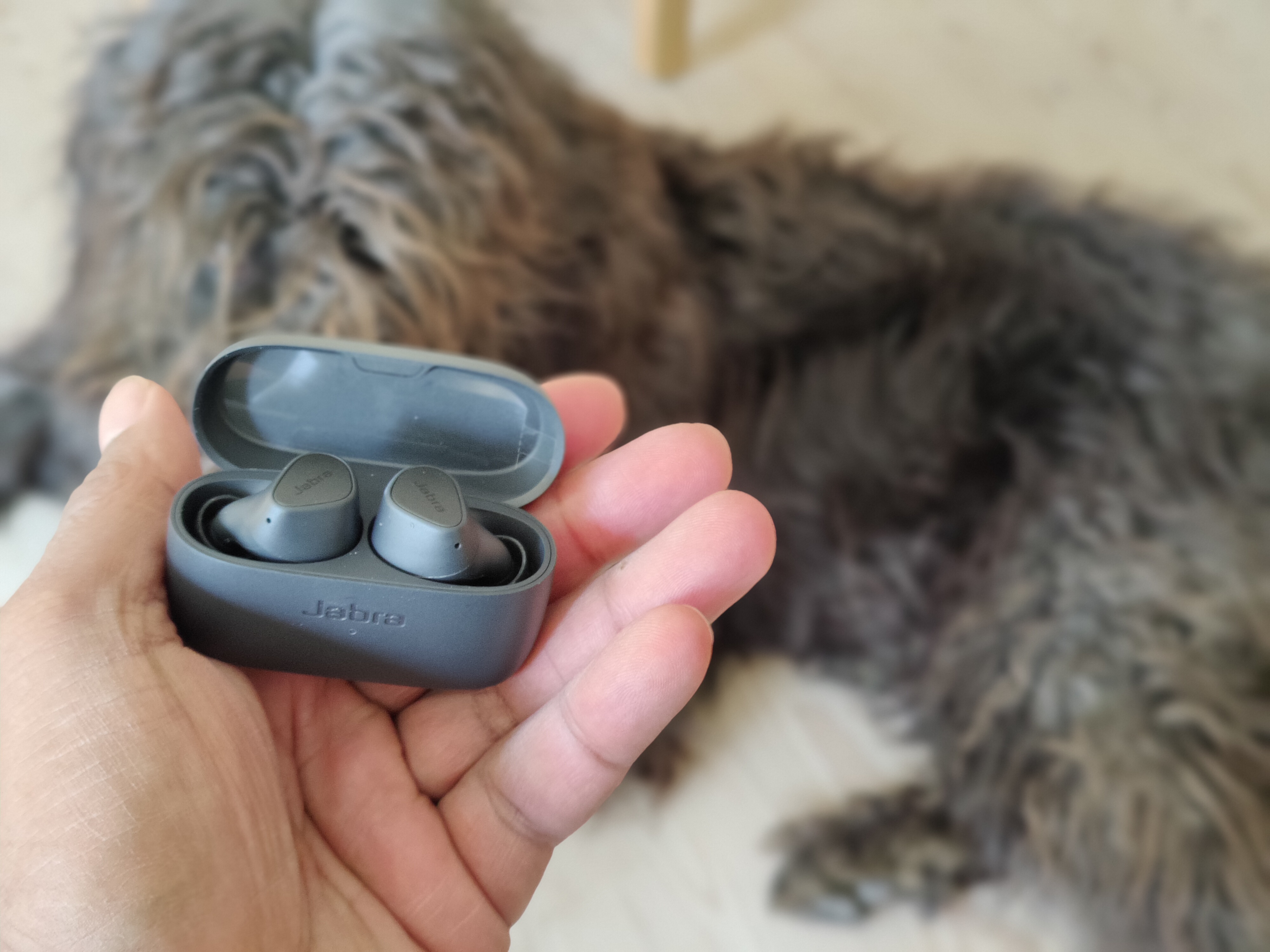 Jabra Elite 3