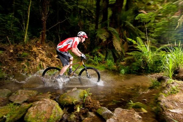 Crossing a stream in Rotorua's Redwood Forest trail network