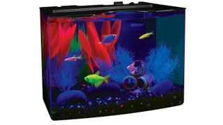 GloFish Aquarium Kit Fish Tank with LED Lighting and Filtration Included