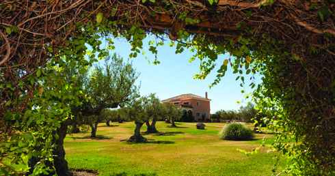 House from Gazebo