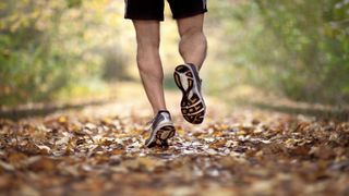 trail running shoes vs running shoes
