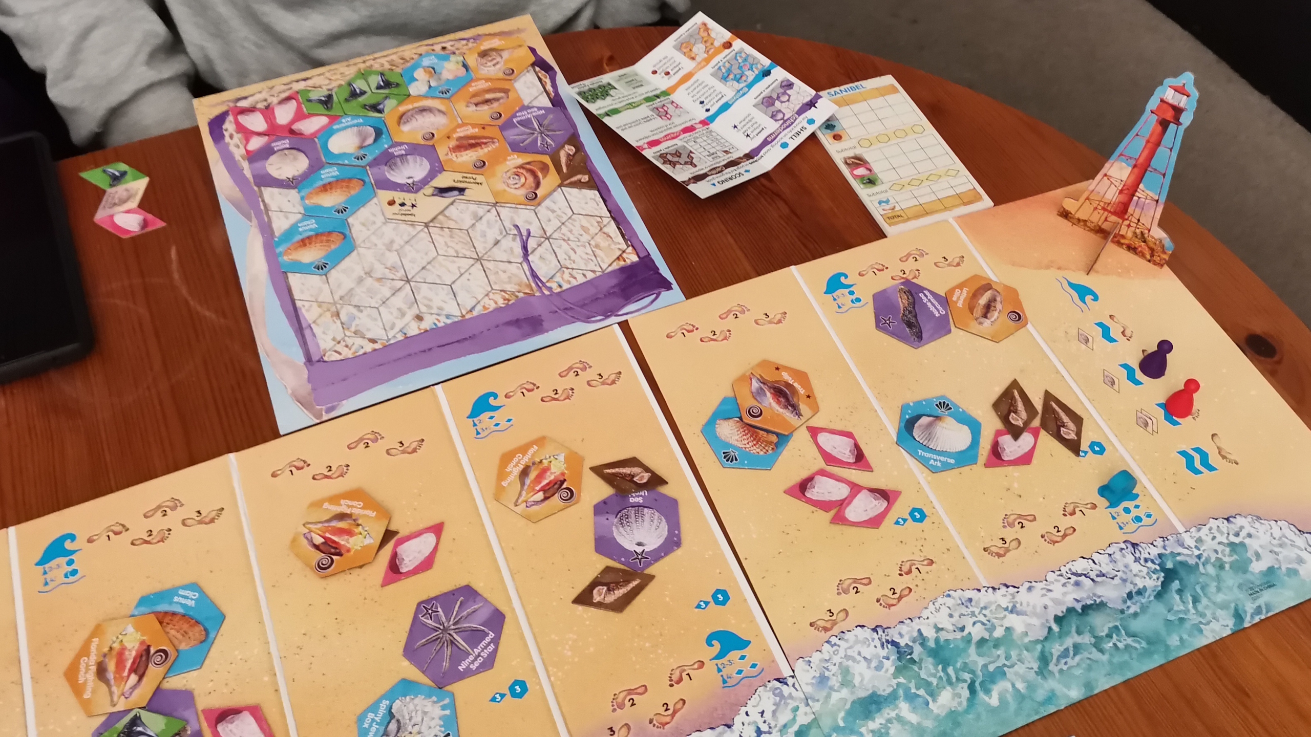 Sanibel board, tokens, and pieces on a wooden surface