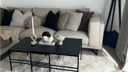 living room with sofa on a rug, with floor lamp and coffee table