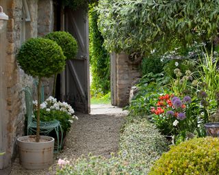 Gravel garden with garden path and flowers
