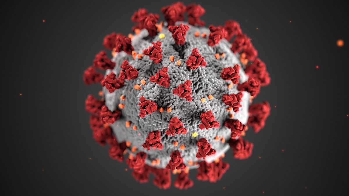 Coronavirus outbreak: Live updates