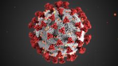 This illustration, created at the Centers for Disease Control and Prevention (CDC), reveals ultrastructural morphology exhibited by coronaviruses. Note the spikes that adorn the outer surface of the virus, which impart the look of a corona surrounding the virion, when viewed electron microscopically.