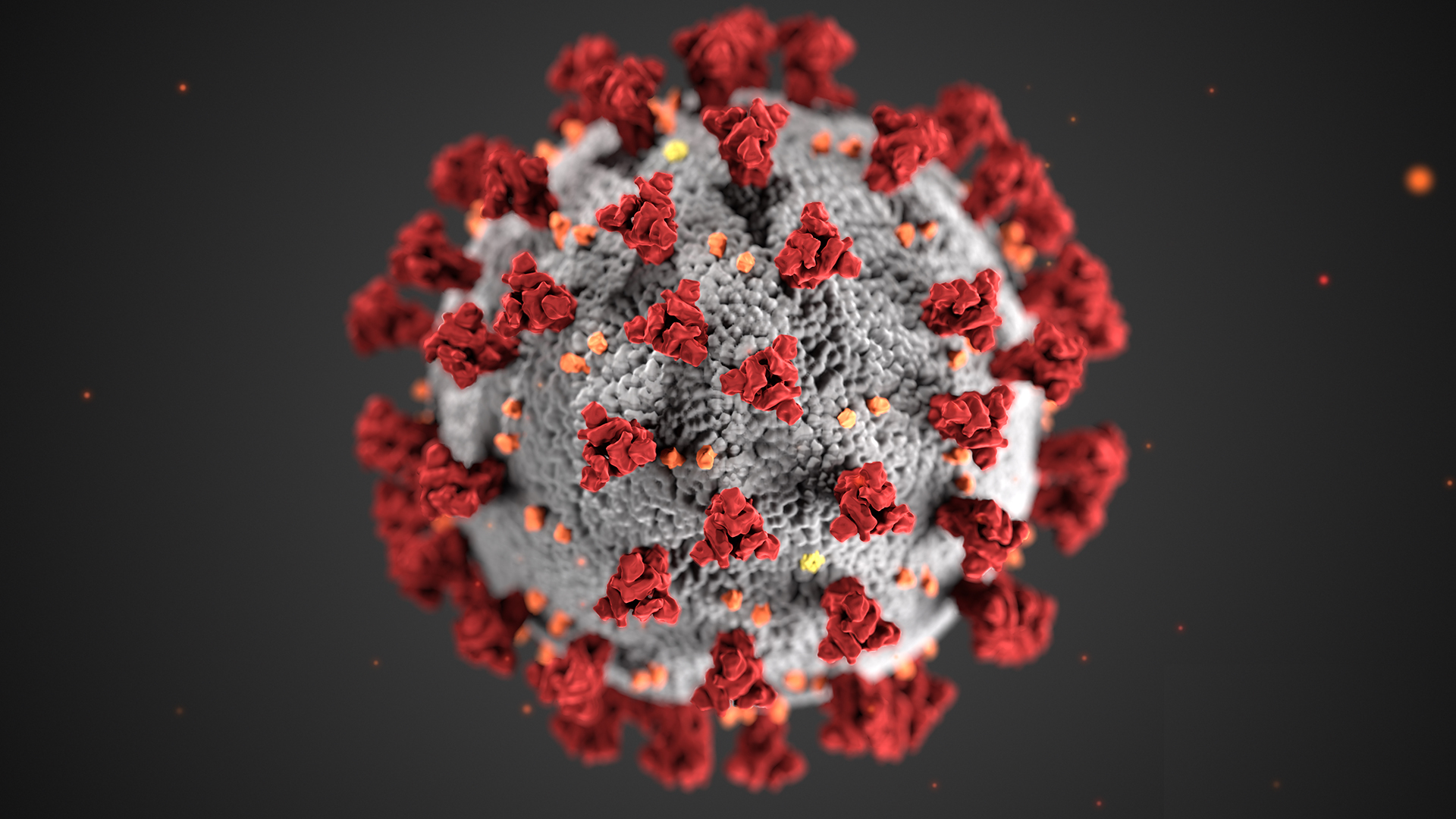 Risultato immagini per coronavirus