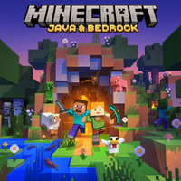 Minecraft: Java &amp; Bedrock Edition