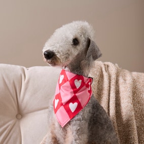 Valentines Pet Bandanna