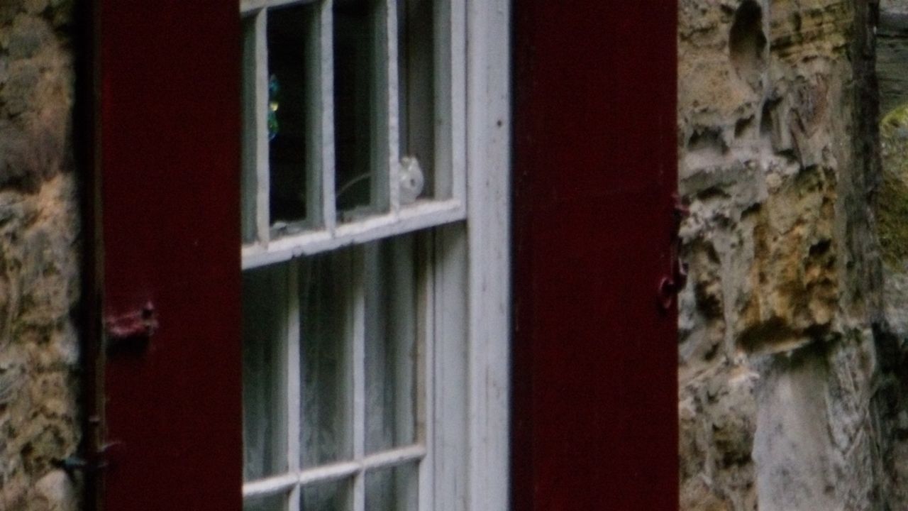 Images taken with the Kodak PixPro AZ653 bridge camera