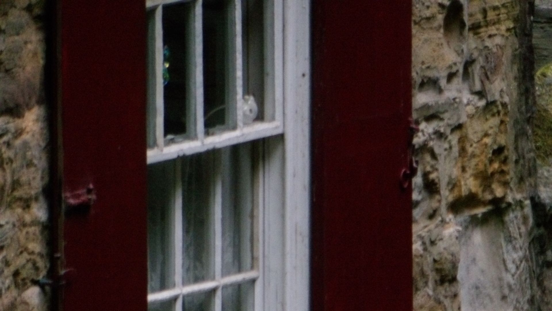 Images taken with the Kodak PixPro AZ653 bridge camera