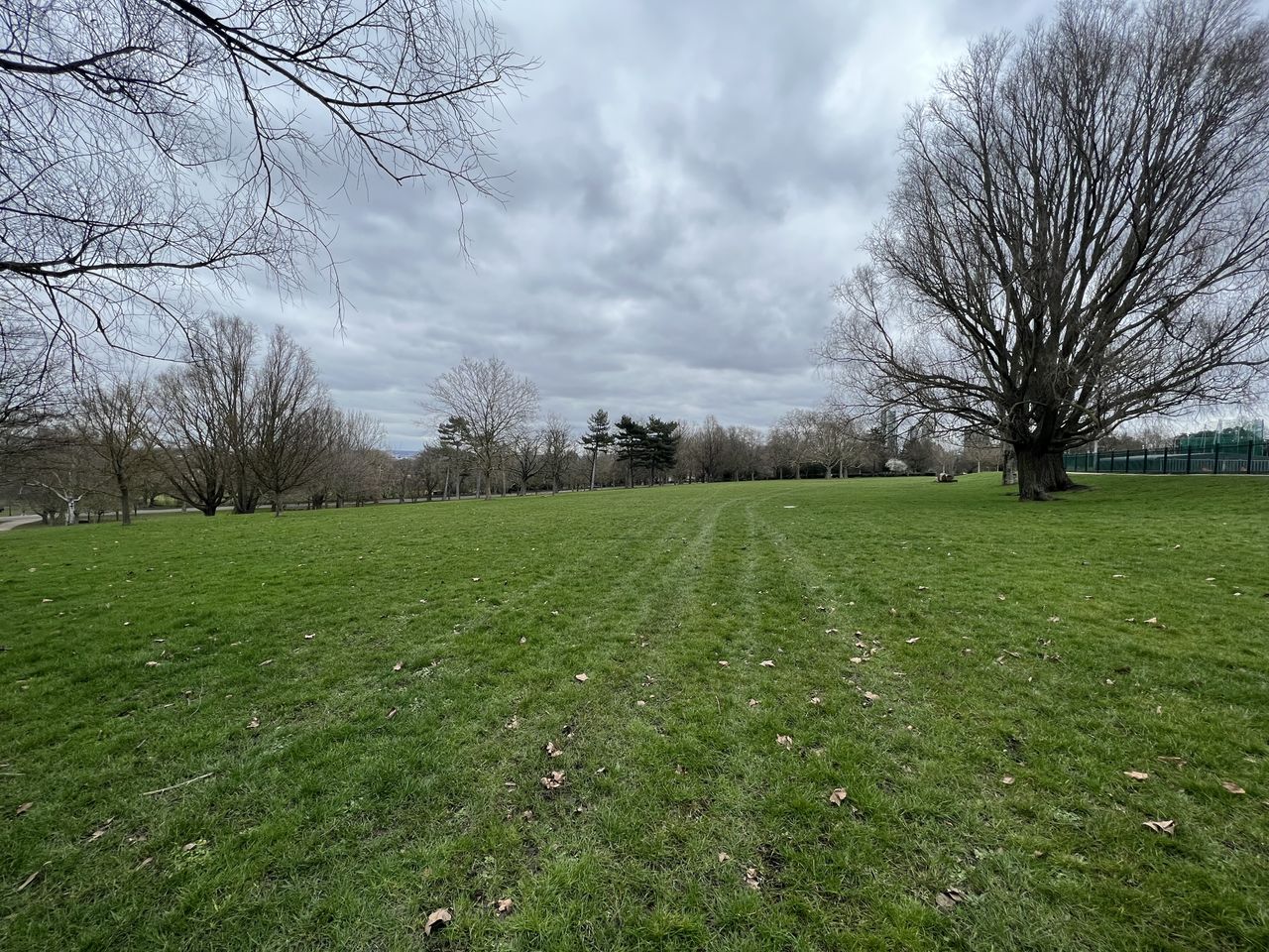 iPhone 14 Pro sample images