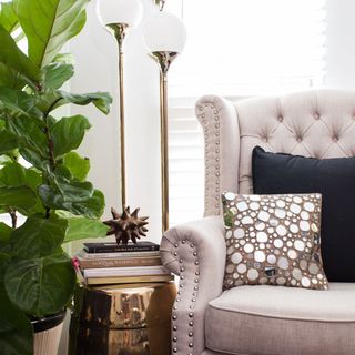 living room with plant and white sofa with designer cushions