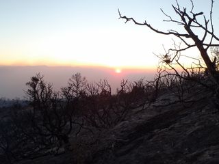 orning after the Hill Fire, on June 24, 2012, in Los Padres National Forest near Goleta, Calif.