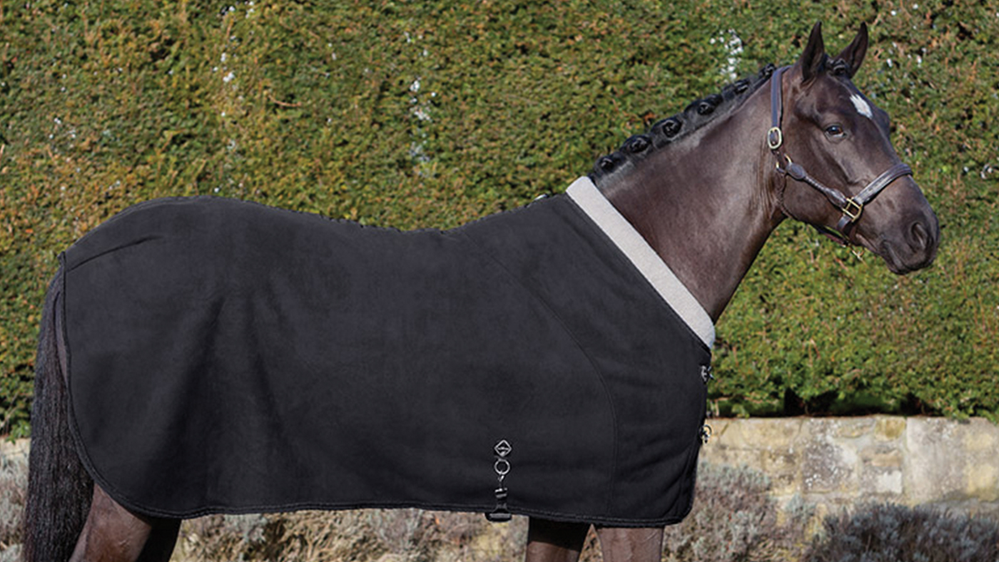 LeMieux Four Seasons show rug