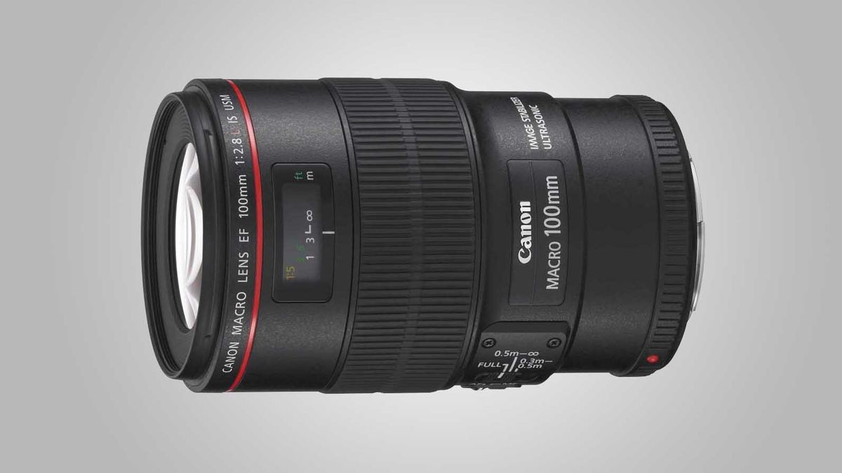 Best macro lenses for Canon DSLRs Best macro lens closeup lenses