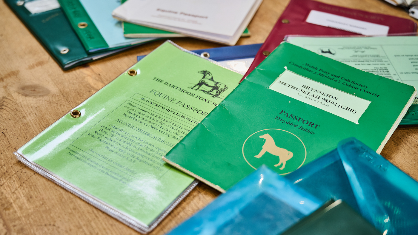 Horse passports