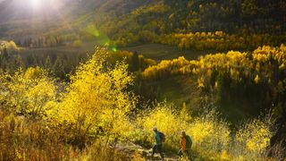 Two hikers on a mountain trail in colorado hike through the fall foliage at sunset