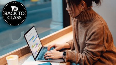 Young lady working with laptop at cafe