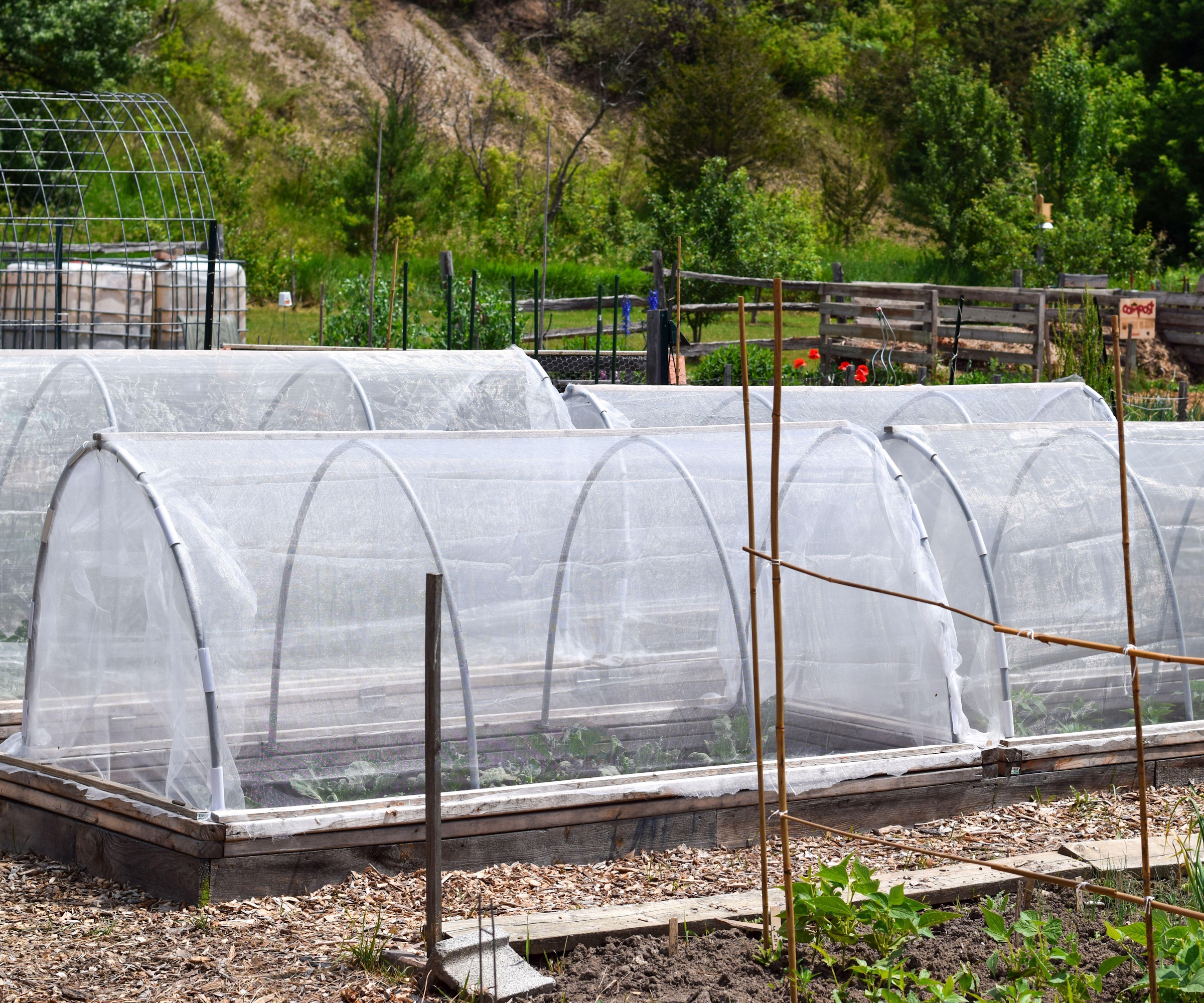 Floating row covers vegetables