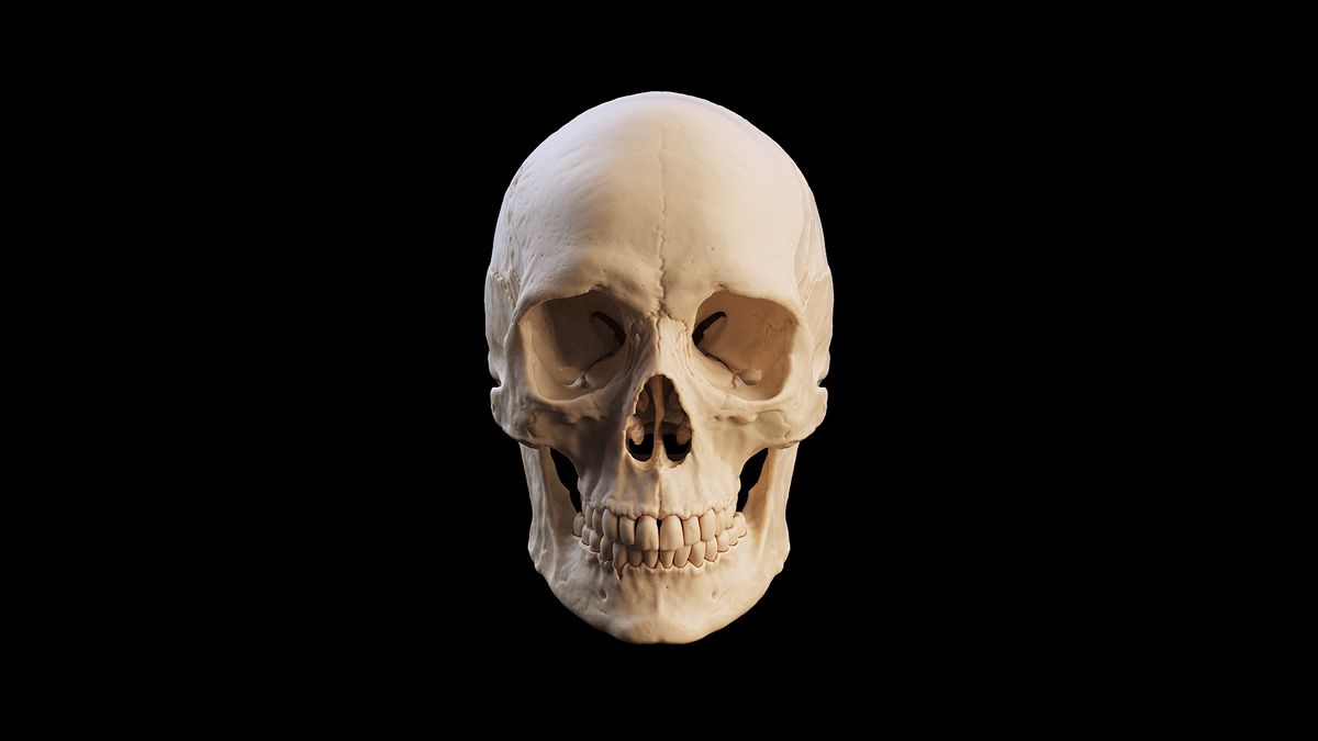 Human evolution: Facts about the past 300,000 years of Homo sapiens