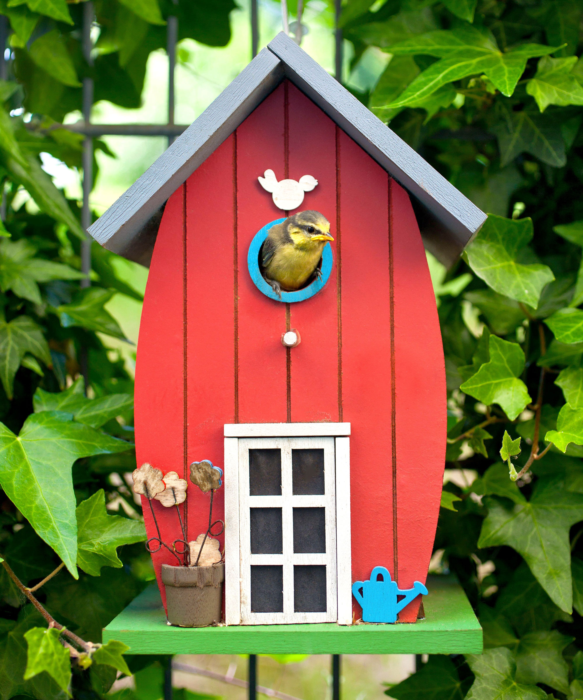 garden bird in red bird house looking out from leaves