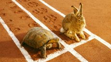 A tortoise and hare at the start of a race