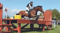 SAP Hale Bob OLD injured: the horse is pictured at Badminton 2015