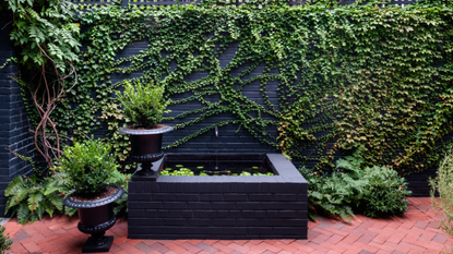 vine-covered black brick wall and trellis in backyard by Evelyn Pierce