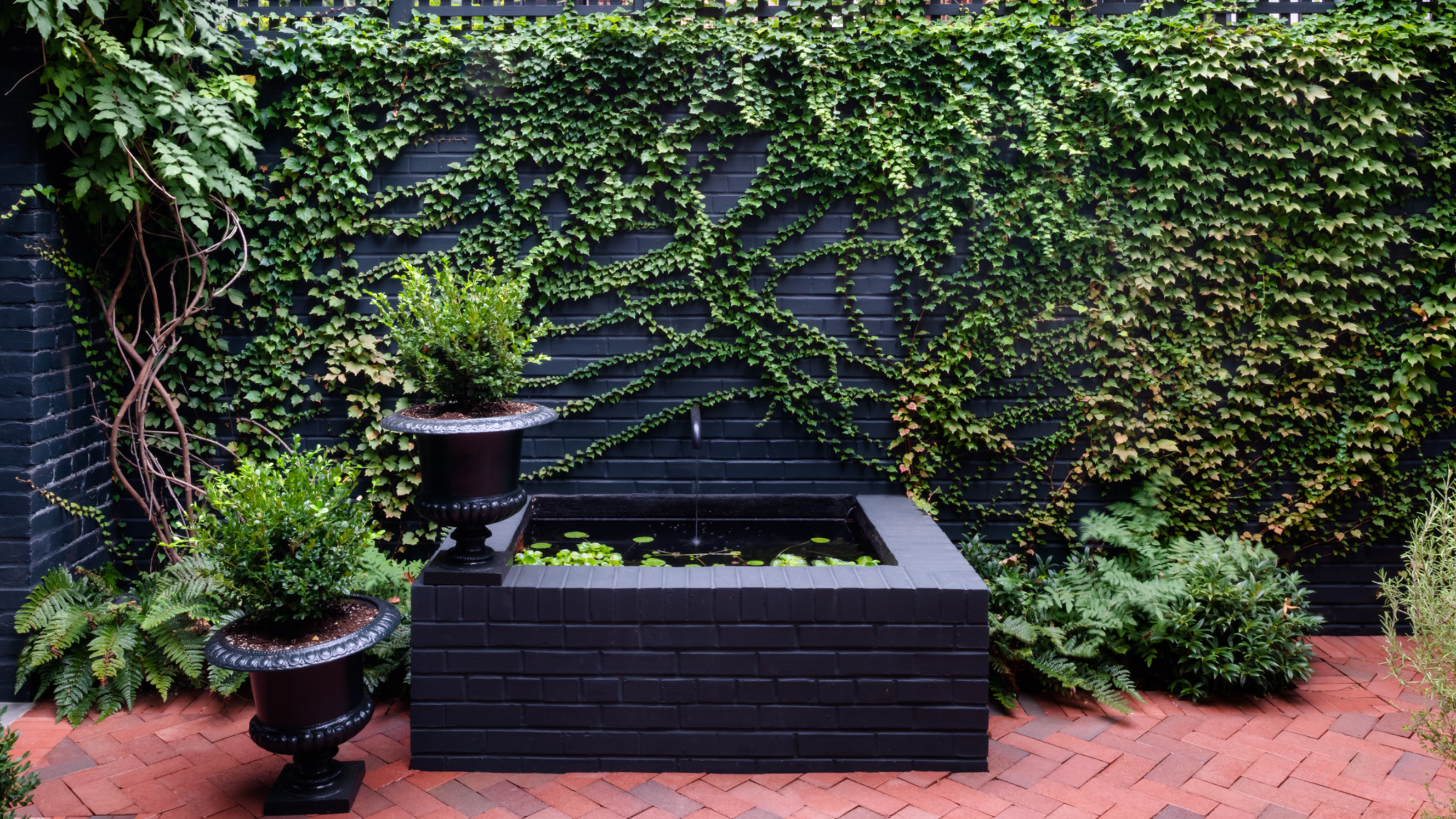 vine-covered black brick wall and trellis in backyard by Evelyn Pierce