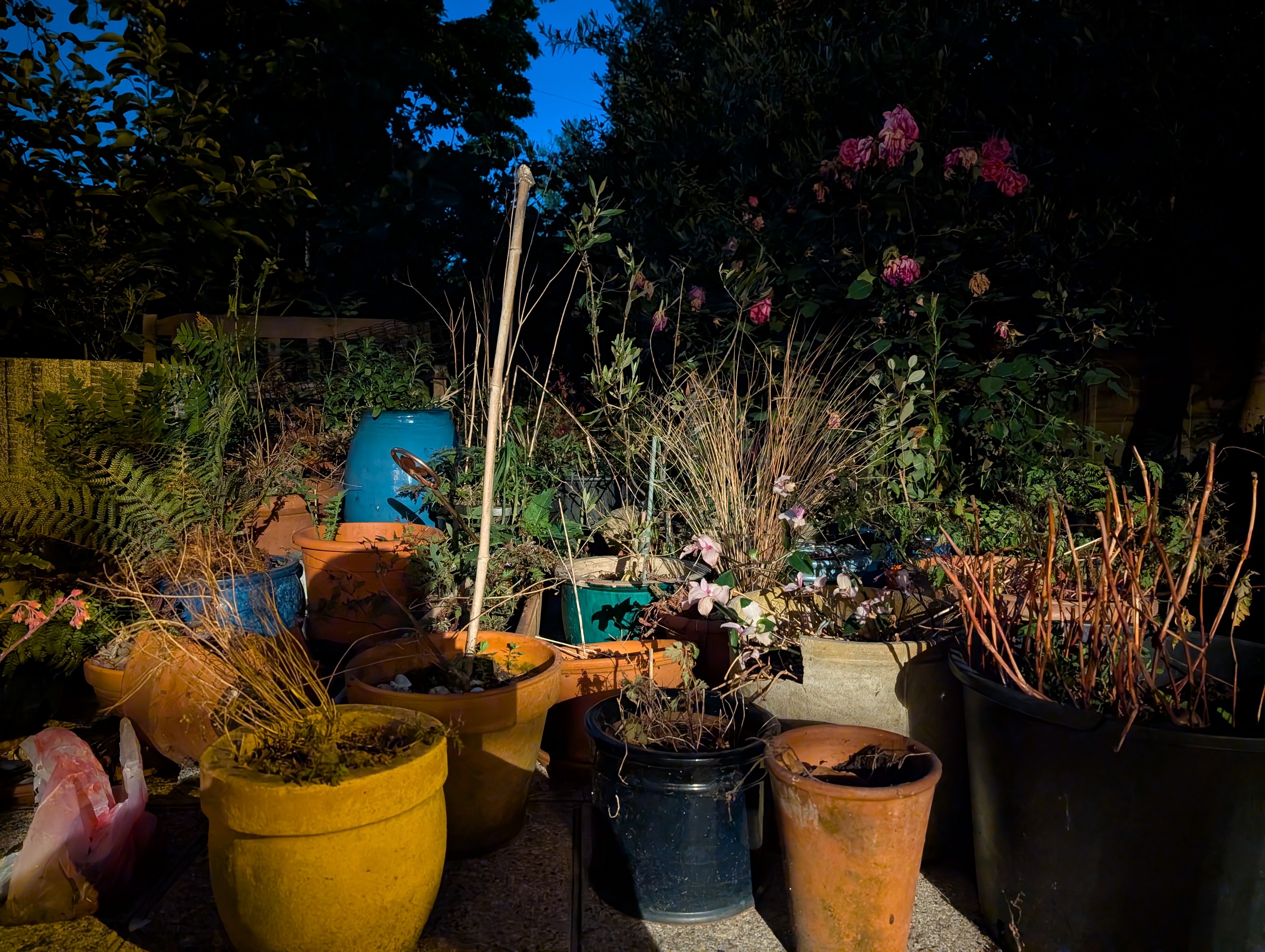 Google Pixel 9 Pro camera sample low light