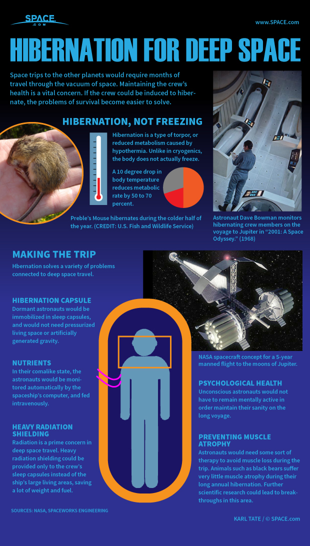 How Astronaut Hibernation for Deep-Space Travel Works (Infographic) | Space